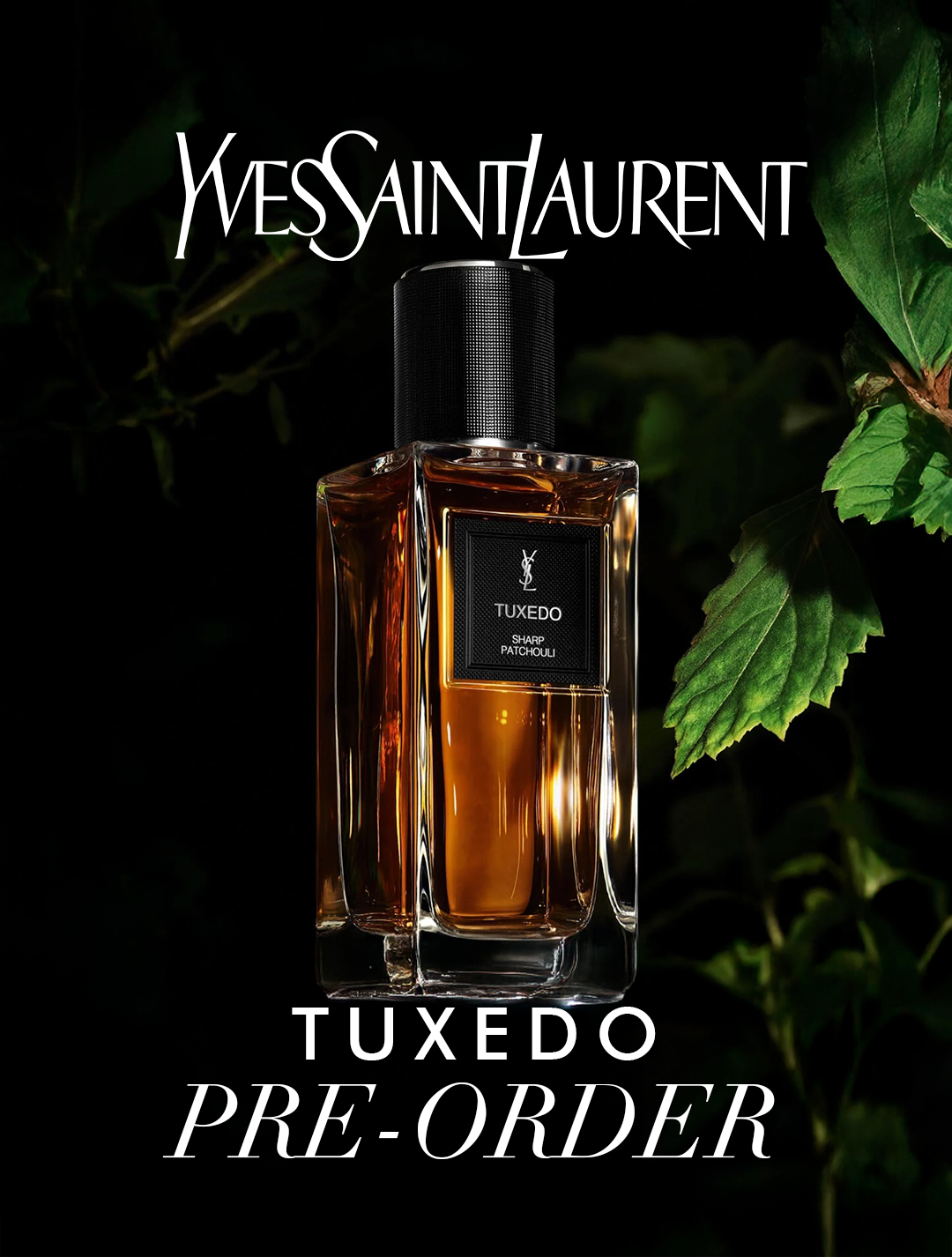 Fragrance Nevaeh