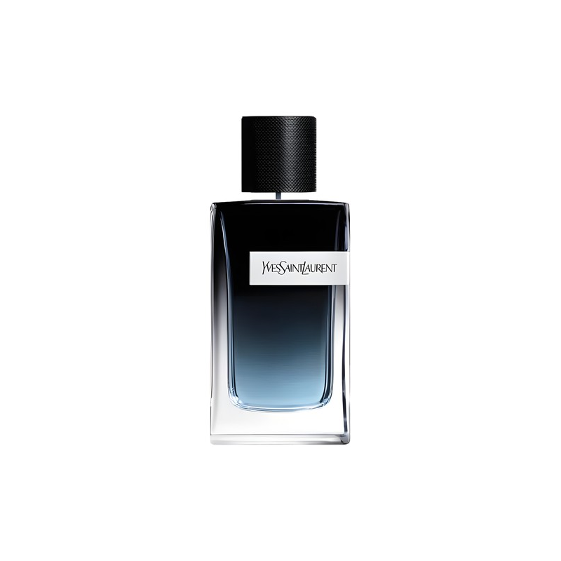 ysl y edp