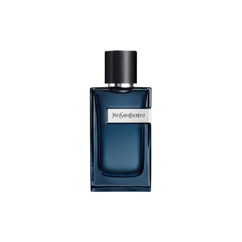 ysl y intense